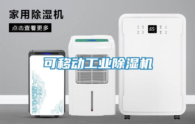 可移动工业MR.好色破解版