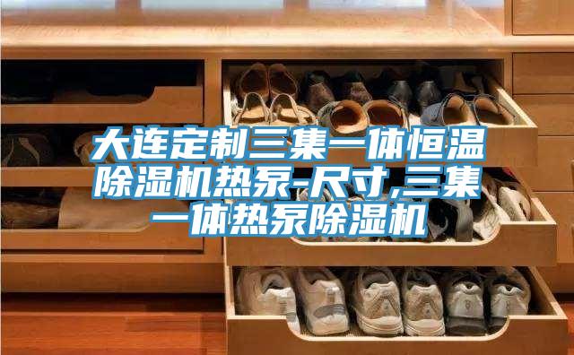 大连定制三集一体恒温MR.好色破解版热泵-尺寸,三集一体热泵MR.好色破解版