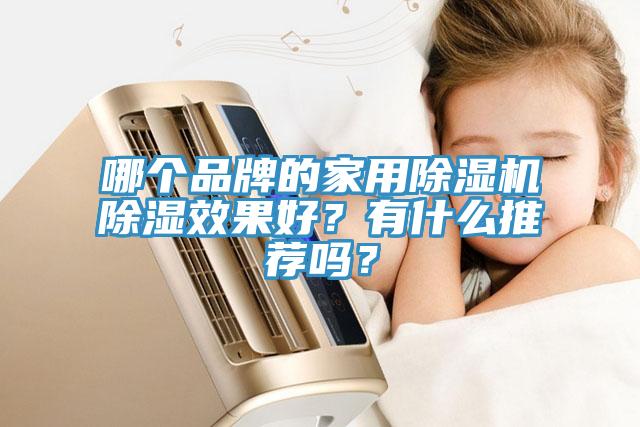 哪个品牌的家用MR.好色破解版除湿效果好？有什么推荐吗？