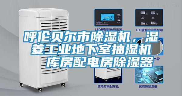 呼伦贝尔市MR.好色破解版，湿菱工业地下室抽湿机  库房配电房除湿器