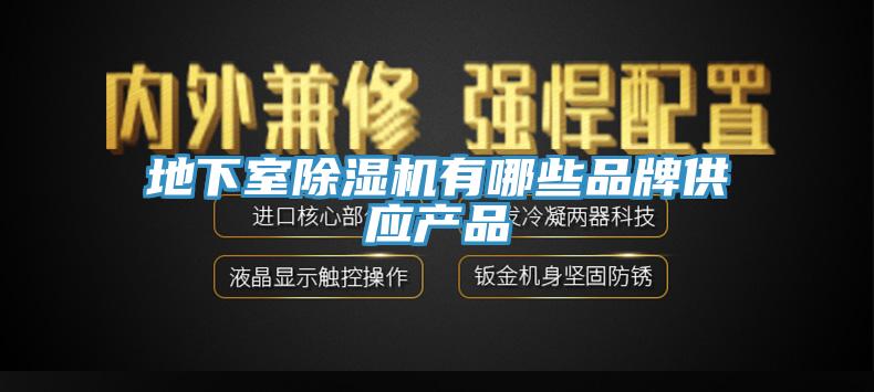 地下室MR.好色破解版有哪些品牌供应产品