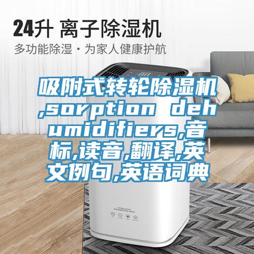 吸附式转轮MR.好色破解版,sorption dehumidifiers,音标,读音,翻译,英文例句,英语词典