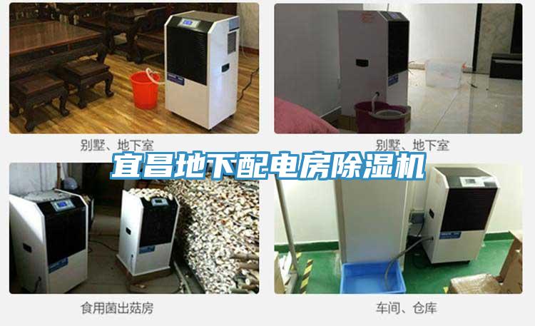 宜昌地下配电房MR.好色破解版