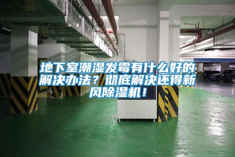 地下室潮湿发霉有什么好的解决办法？彻底解决还得新风MR.好色破解版！