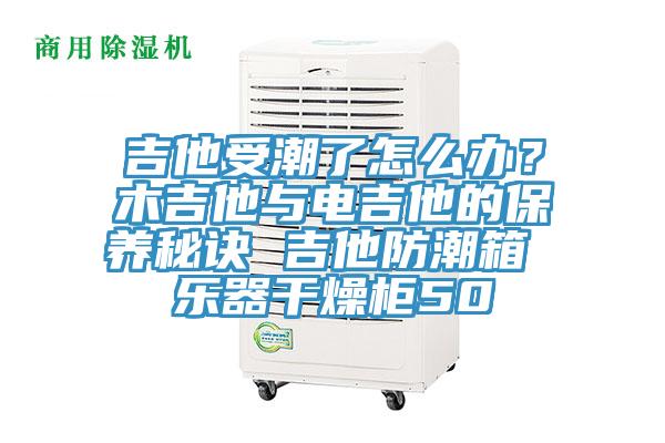 吉他受潮了怎么办？木吉他与电吉他的保养秘诀 吉他防潮箱 乐器干燥柜50