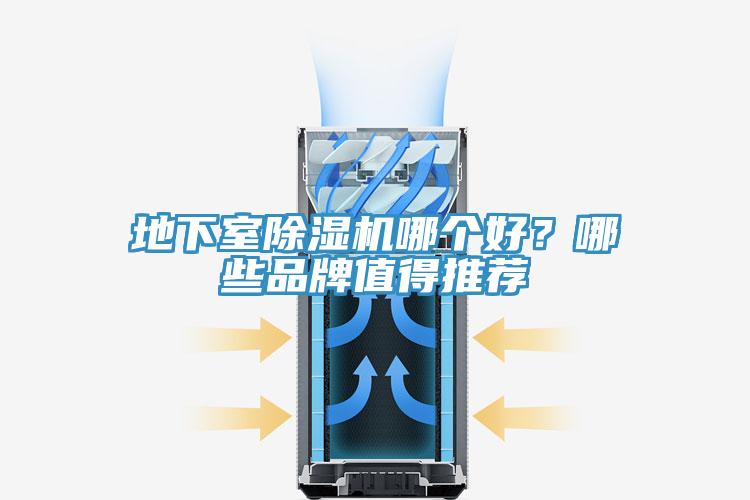 地下室MR.好色破解版哪个好？哪些品牌值得推荐