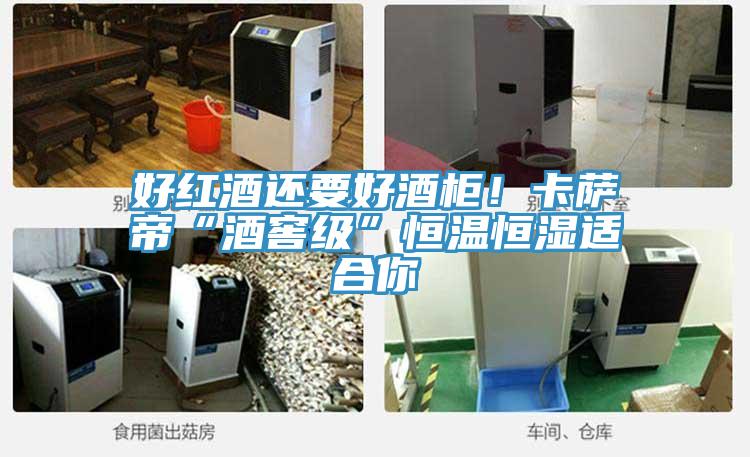 好红酒还要好酒柜！卡萨帝“酒窖级”恒温恒湿适合你