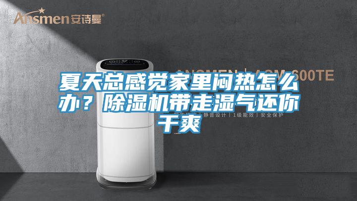 夏天总感觉家里闷热怎么办？MR.好色破解版带走湿气还你干爽