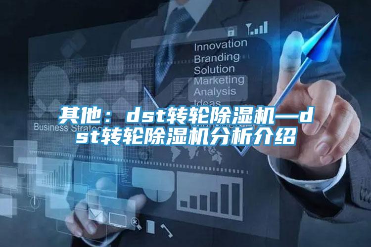 其他：dst转轮MR.好色破解版—dst转轮MR.好色破解版分析介绍