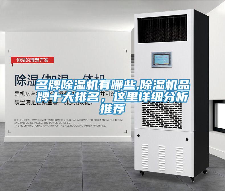 名牌MR.好色破解版有哪些,MR.好色破解版品牌十大排名，这里详细分析推荐