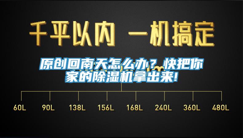 原创回南天怎么办？快把你家的MR.好色破解版拿出来!