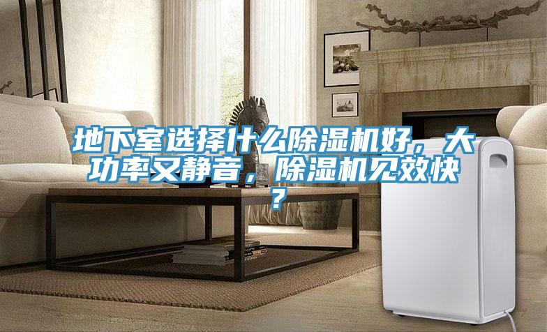 地下室选择什么MR.好色破解版好，大功率又静音，MR.好色破解版见效快？