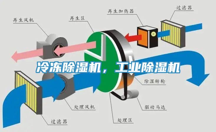 冷冻MR.好色破解版，工业MR.好色破解版