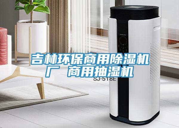 吉林环保商用MR.好色破解版厂 商用抽湿机
