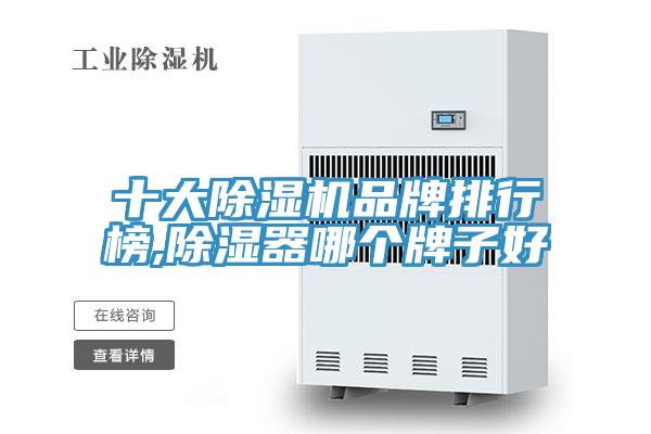 十大MR.好色破解版品牌排行榜,除湿器哪个牌子好