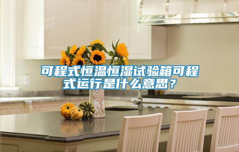 可程式恒温恒湿试验箱可程式运行是什么意思？