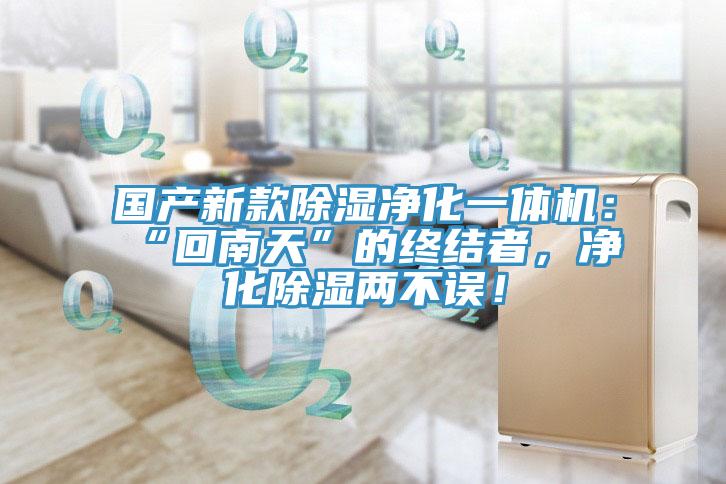 国产新款除湿净化一体机：“回南天”的终结者，净化除湿两不误！