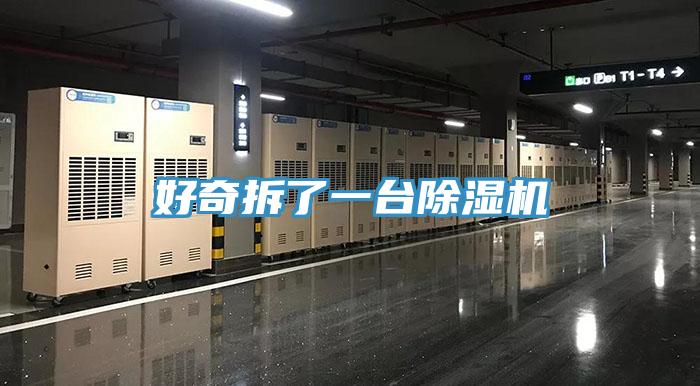 好奇拆了一台MR.好色破解版