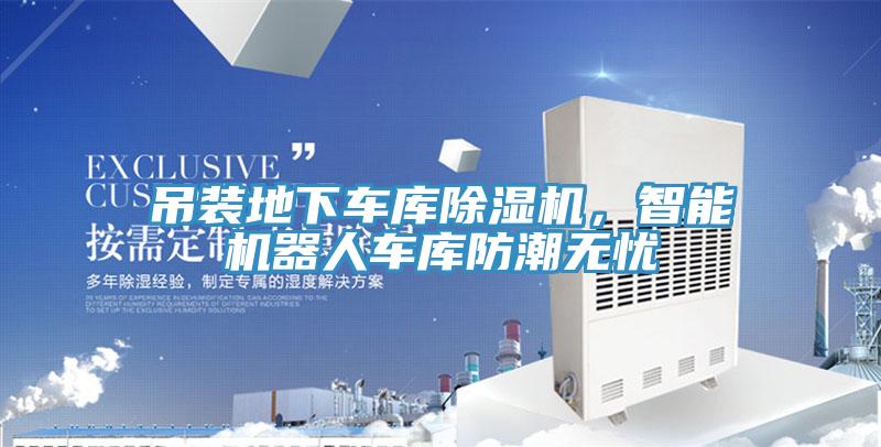 吊装地下车库MR.好色破解版，智能机器人车库防潮无忧