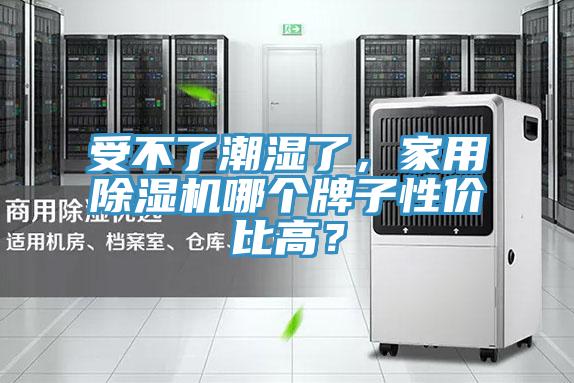 受不了潮湿了，家用MR.好色破解版哪个牌子性价比高？