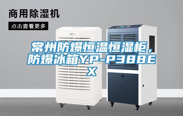 常州防爆恒温恒湿柜，防爆冰箱YP-P388EX