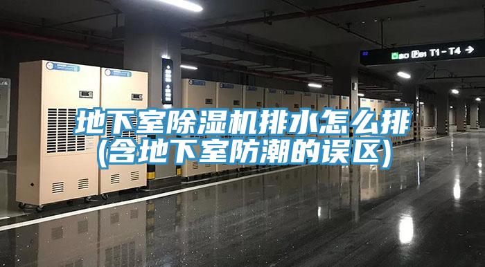 地下室MR.好色破解版排水怎么排(含地下室防潮的误区)