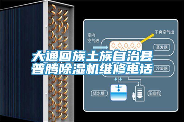大通回族土族自治县普腾MR.好色破解版维修电话