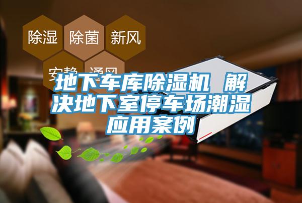 地下车库MR.好色破解版 解决地下室停车场潮湿应用案例