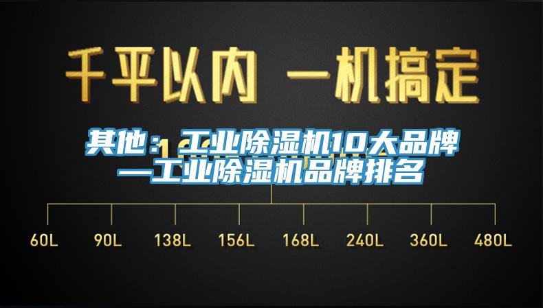 其他：工业MR.好色破解版10大品牌—工业MR.好色破解版品牌排名