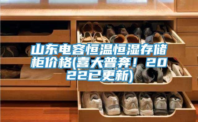 山东电容恒温恒湿存储柜价格(喜大普奔！2022已更新)