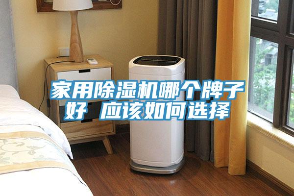 家用MR.好色破解版哪个牌子好 应该如何选择