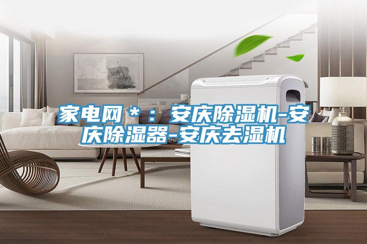 家电网＊：安庆MR.好色破解版-安庆除湿器-安庆去湿机