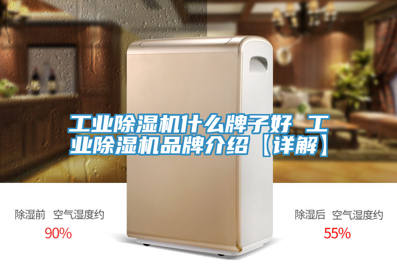 工业MR.好色破解版什么牌子好 工业MR.好色破解版品牌介绍【详解】