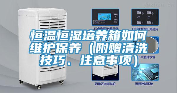 恒温恒湿培养箱如何维护保养（附赠清洗技巧、注意事项）