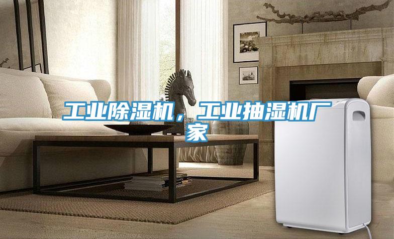 工业MR.好色破解版，工业抽湿机厂家