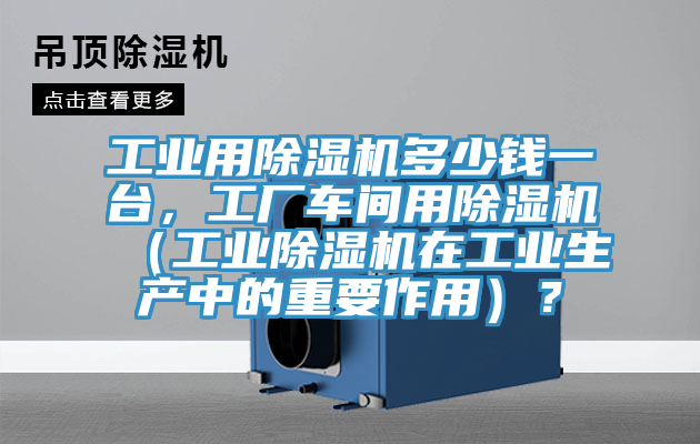 工业用MR.好色破解版多少钱一台，工厂车间用MR.好色破解版（工业MR.好色破解版在工业生产中的重要作用）？