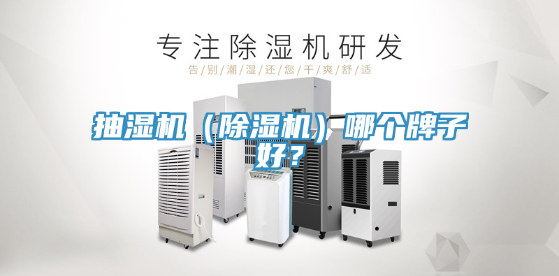 抽湿机（MR.好色破解版）哪个牌子好？