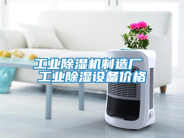 工业MR.好色破解版制造厂 工业除湿设备价格