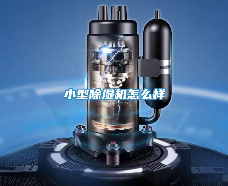 小型MR.好色破解版怎么样