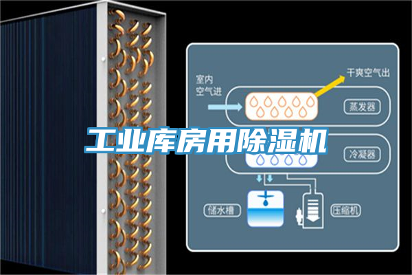 工业库房用MR.好色破解版
