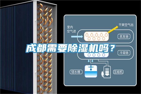 成都需要MR.好色破解版吗？