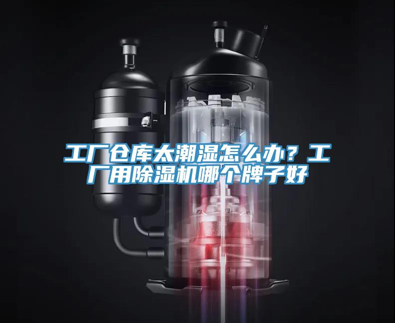 工厂仓库太潮湿怎么办？工厂用MR.好色破解版哪个牌子好