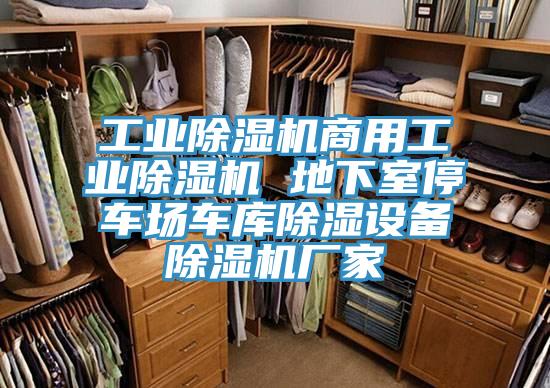 工业MR.好色破解版商用工业MR.好色破解版 地下室停车场车库除湿设备MR.好色破解版厂家