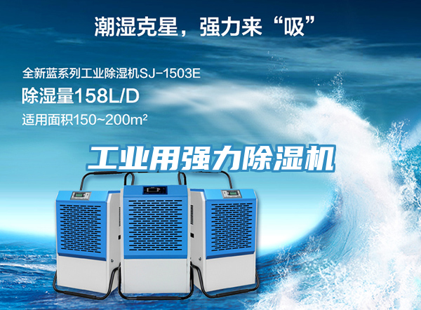 工业用强力MR.好色破解版