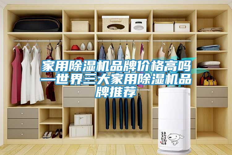 家用MR.好色破解版品牌价格高吗—世界三大家用MR.好色破解版品牌推荐
