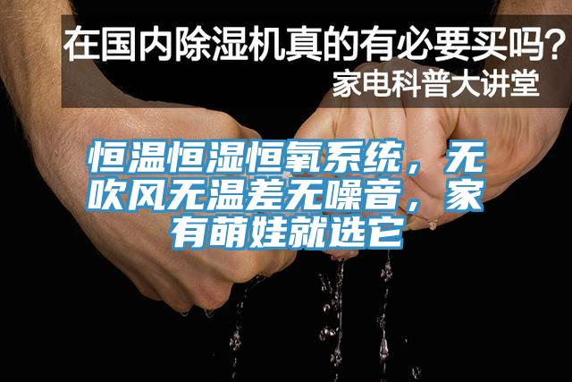 恒温恒湿恒氧系统，无吹风无温差无噪音，家有萌娃就选它