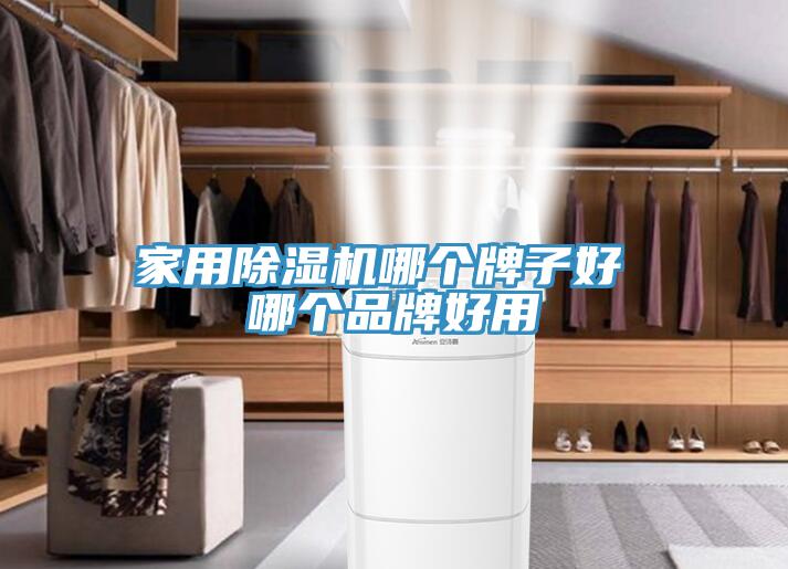 家用MR.好色破解版哪个牌子好 哪个品牌好用
