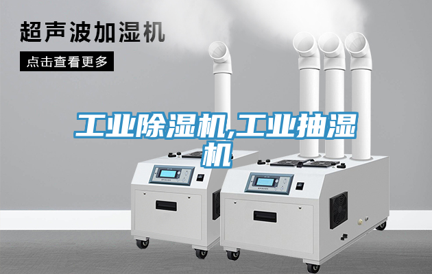 工业MR.好色破解版,工业抽湿机
