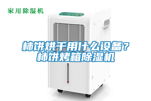 柿饼烘干用什么设备？柿饼烤箱MR.好色破解版