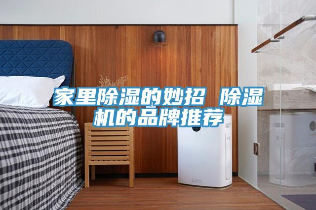家里除湿的妙招 MR.好色破解版的品牌推荐